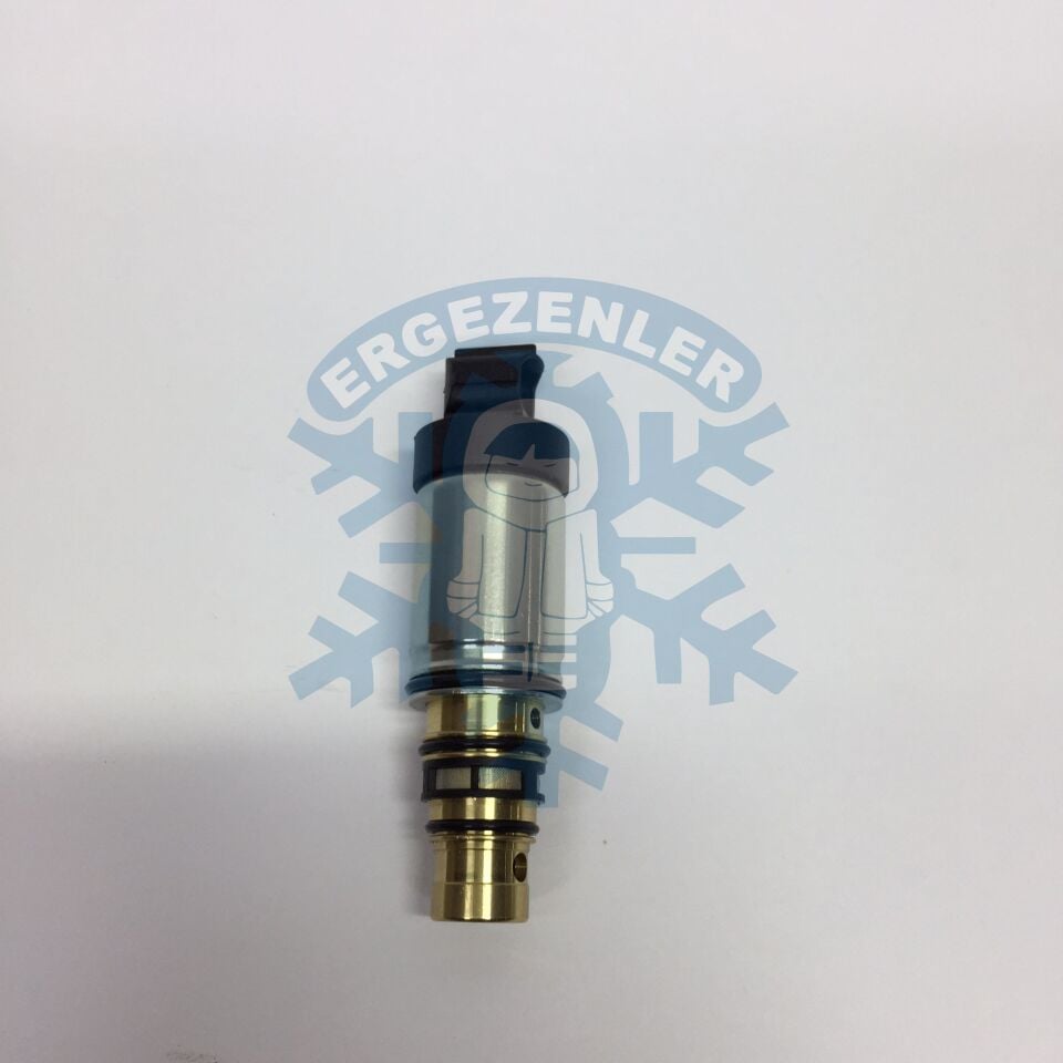 HYUNDAİ BLUE BENZİNLİ SELENOİD VALF