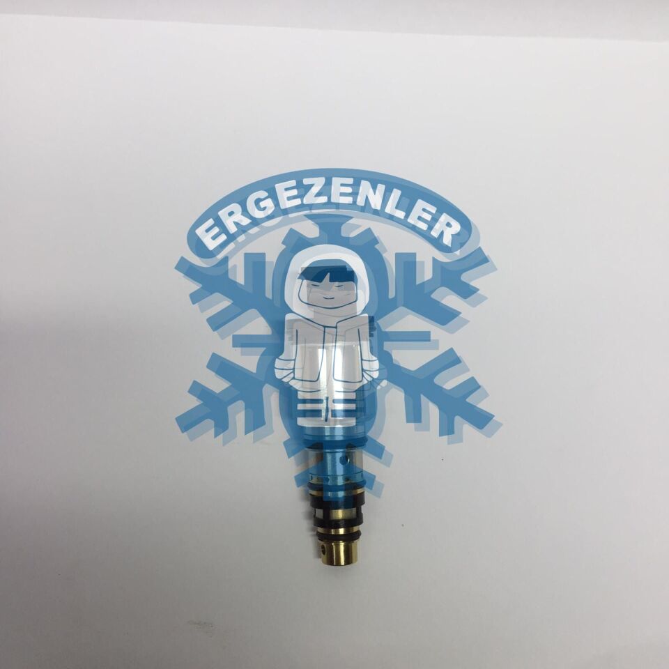 MİNİ COOPER SELENOİD VALF