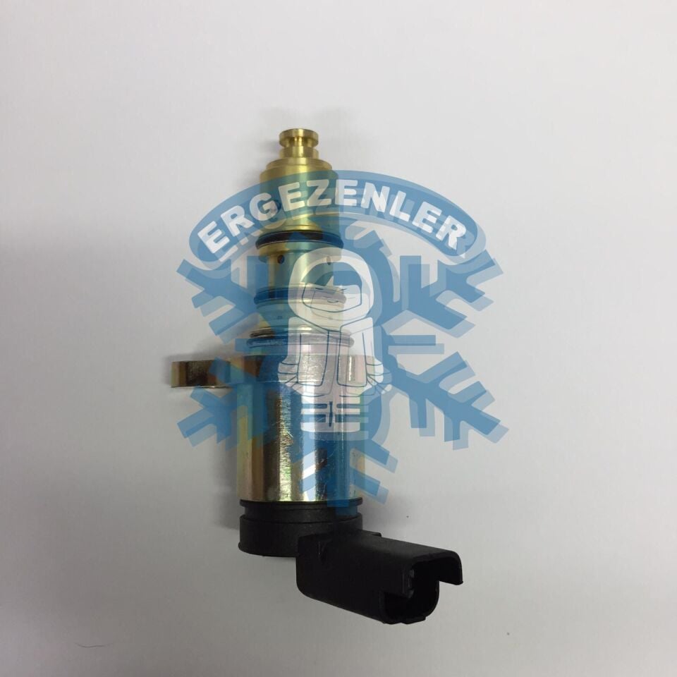 PEUGEOT 406 SELENOID VALF