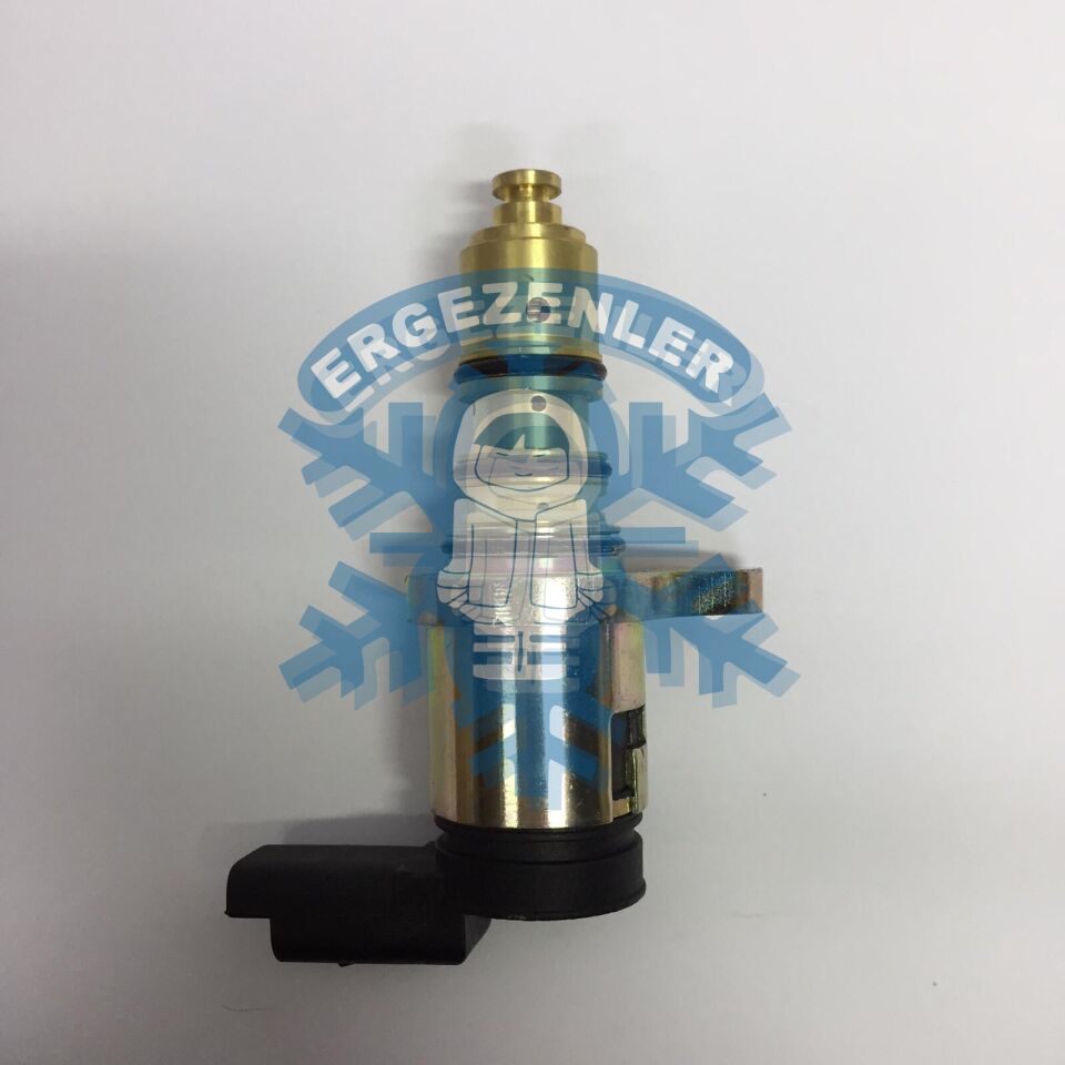 PEUGEOT 406 SELENOID VALF