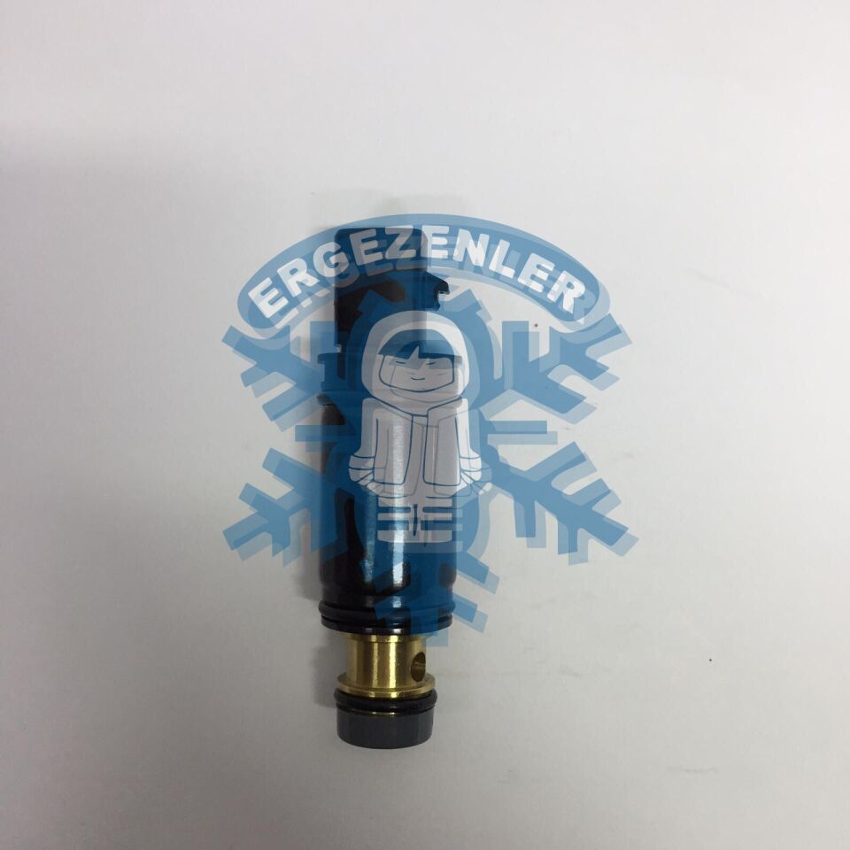 FİAT LİNEA / OPEL CORSA D SELENOID VALF