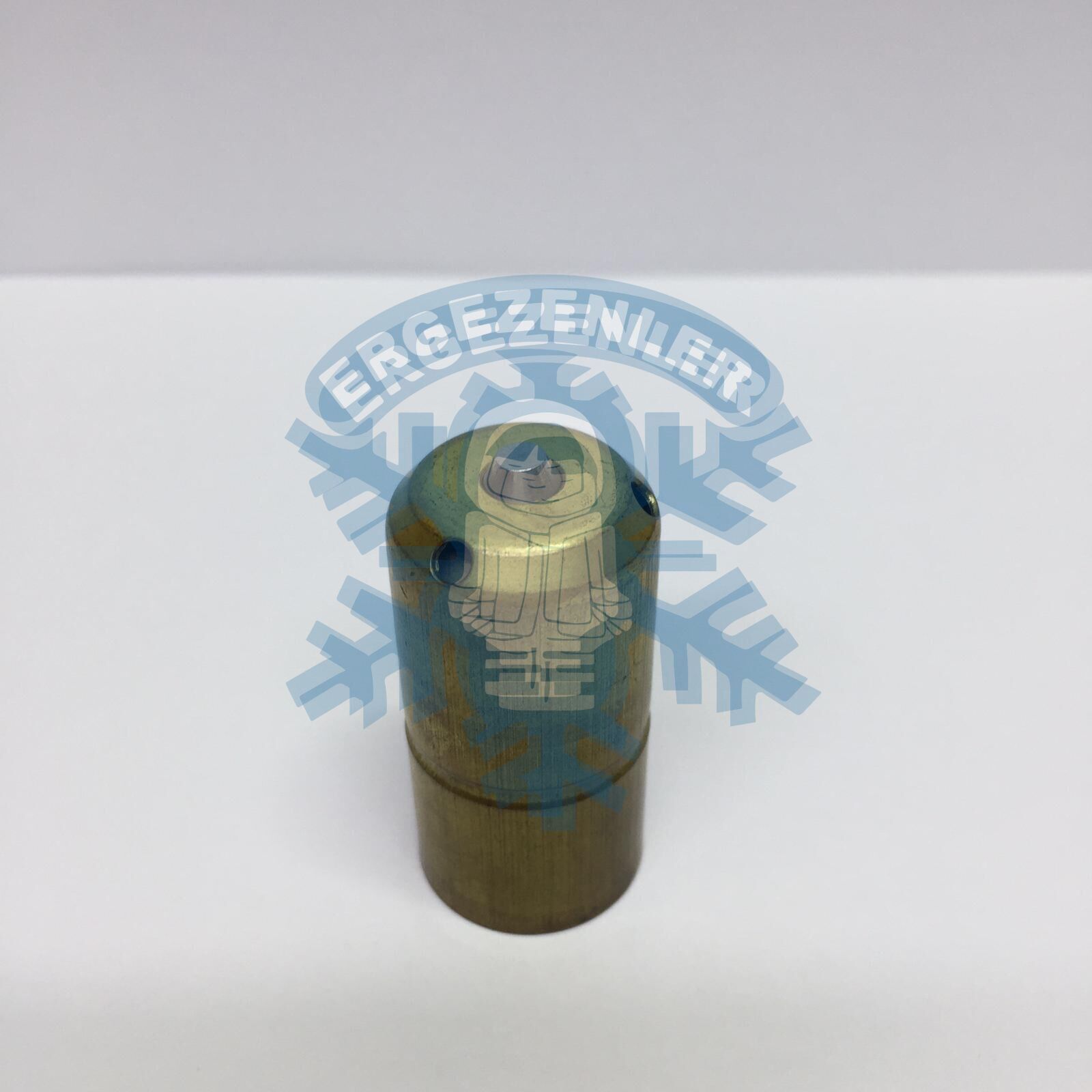 ZEXEL-AUDİ-VOLKSWAGEN-PASSAT ESKİ MODEL  SELENOID VALF