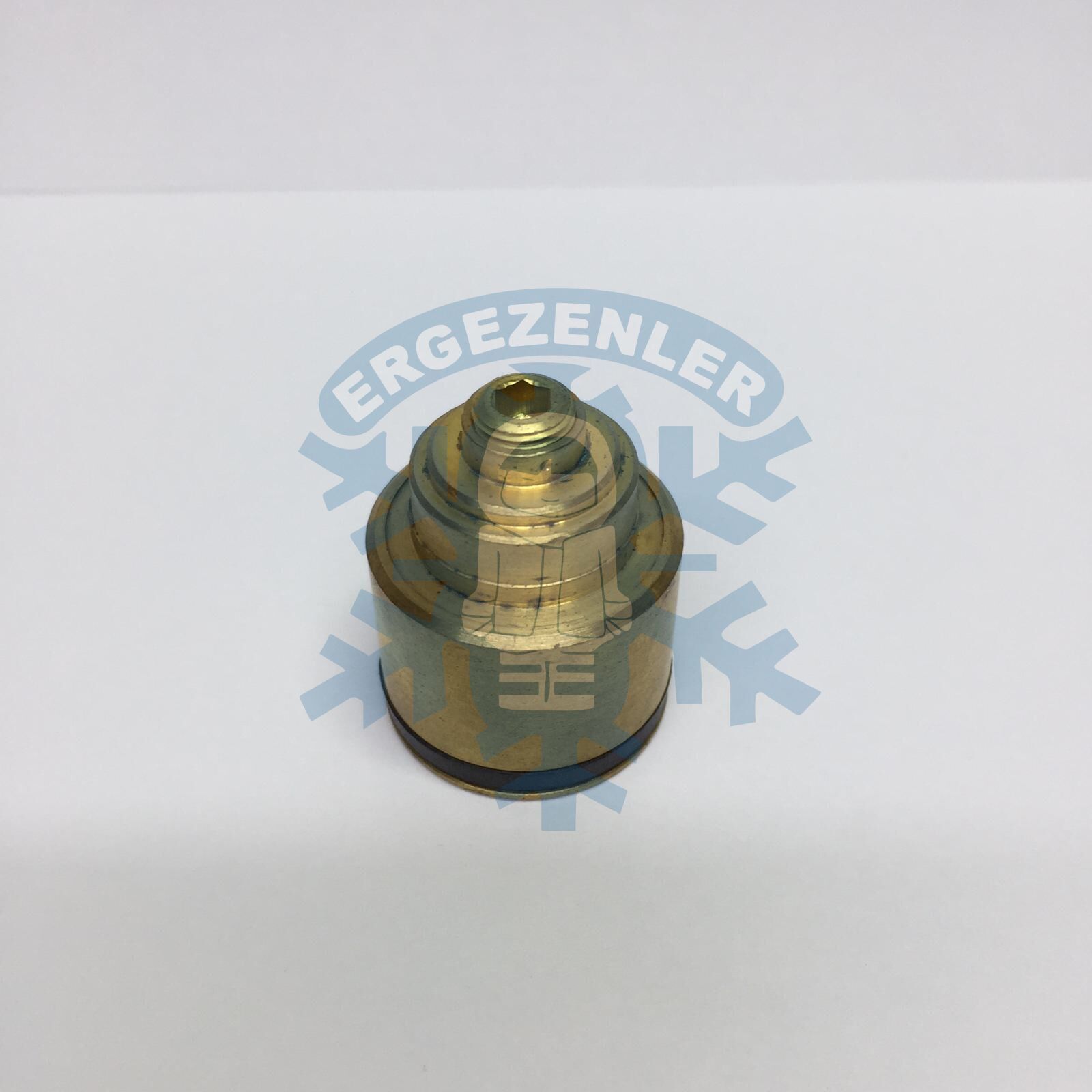 FORD-MAZDA-HONDA SANDEN SELENOID VALF