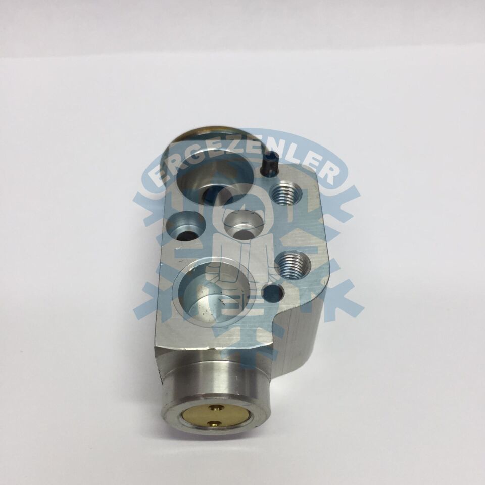 VOLKSWAGEN T5 EXPESION VALF