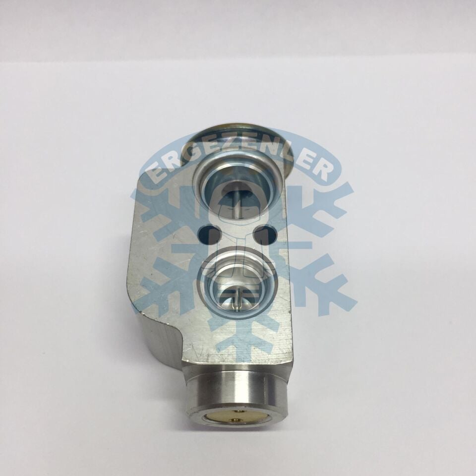 VOLKSWAGEN T5 EXPESION VALF