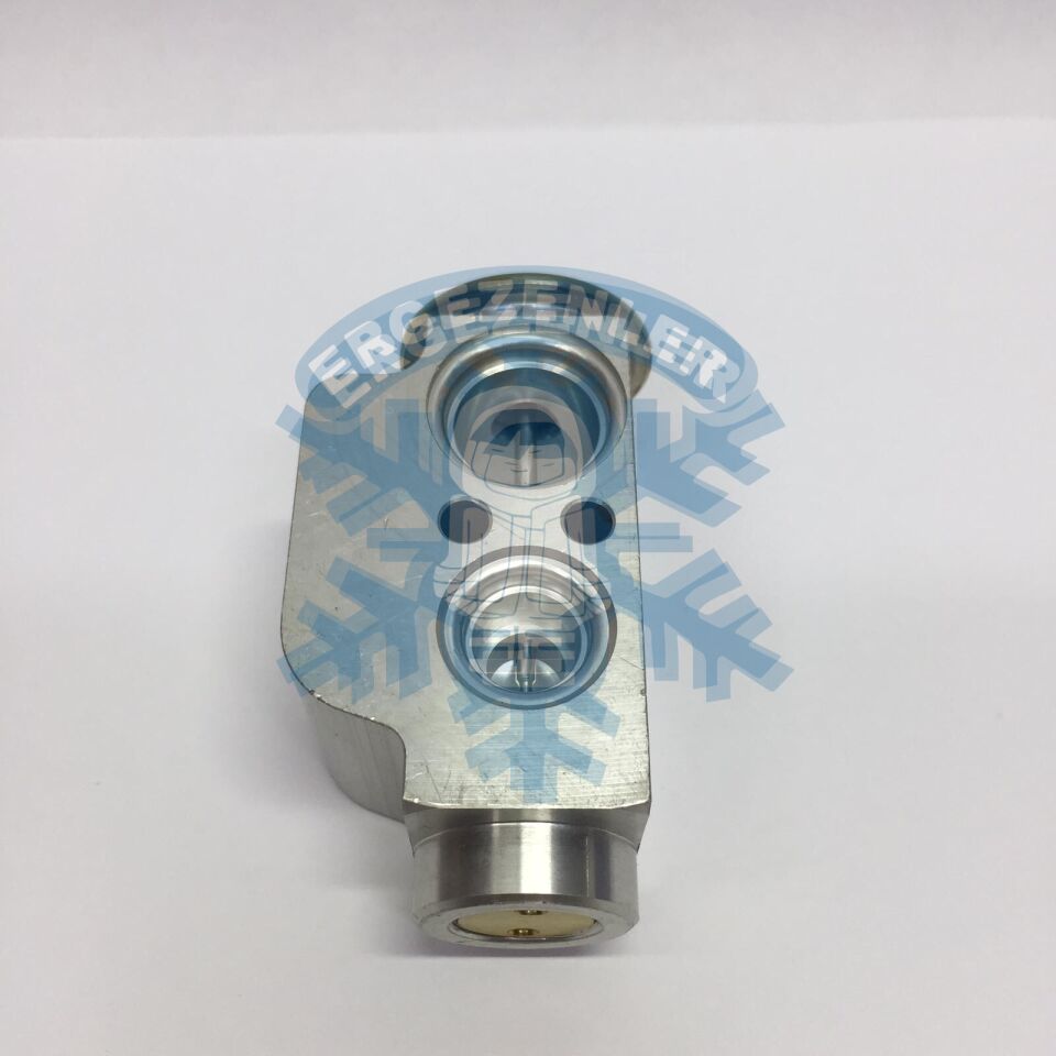 VOLKSWAGEN T5 EXPESION VALF