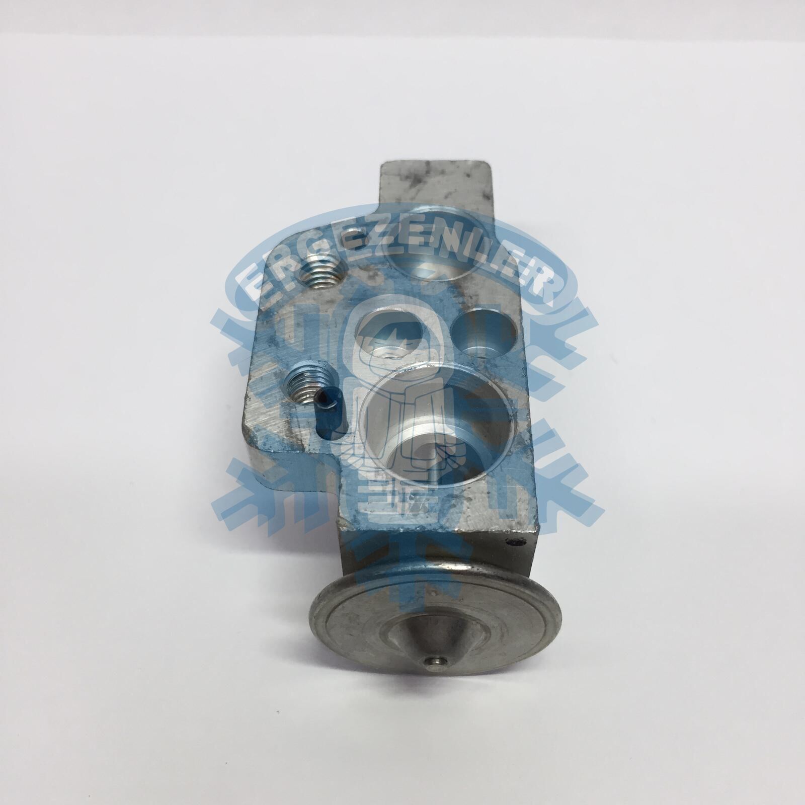 VOLKSWAGEN GOLF 5 / AUDI / JETTA EXPASION VALF