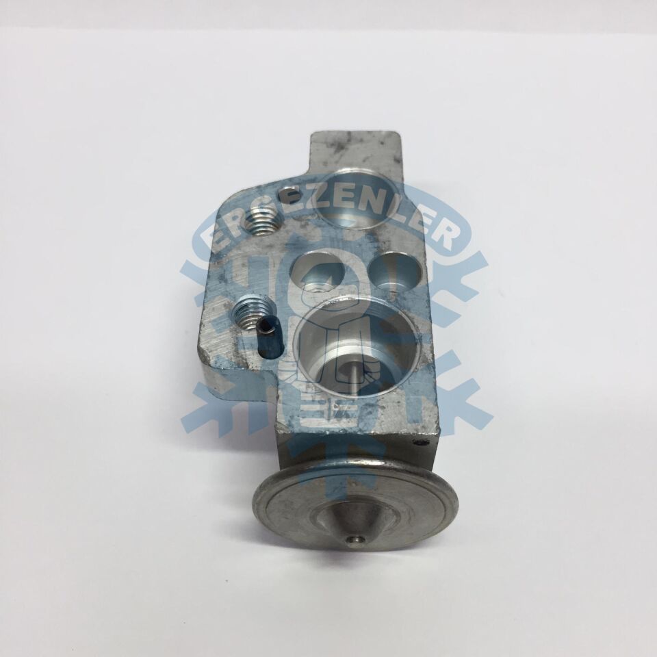 VOLKSWAGEN GOLF 5 / AUDI / JETTA EXPASION VALF