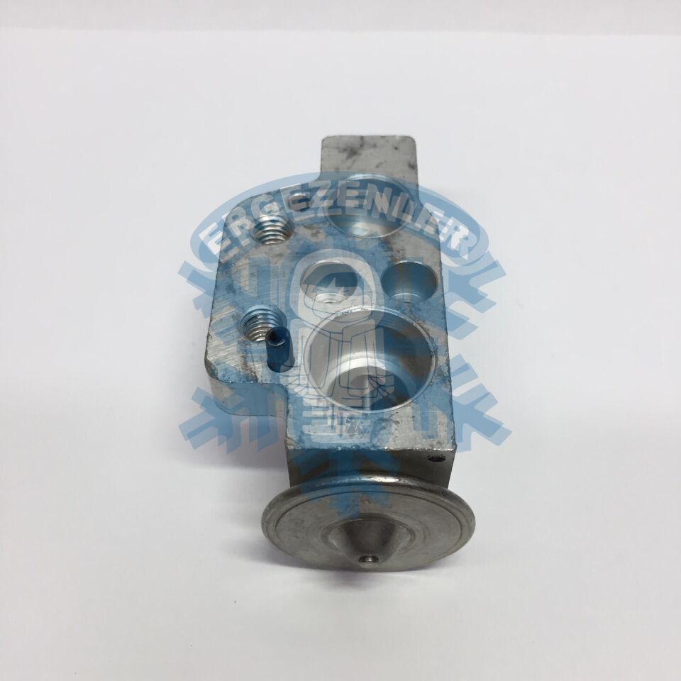 VOLKSWAGEN GOLF 5 / AUDI / JETTA EXPASION VALF