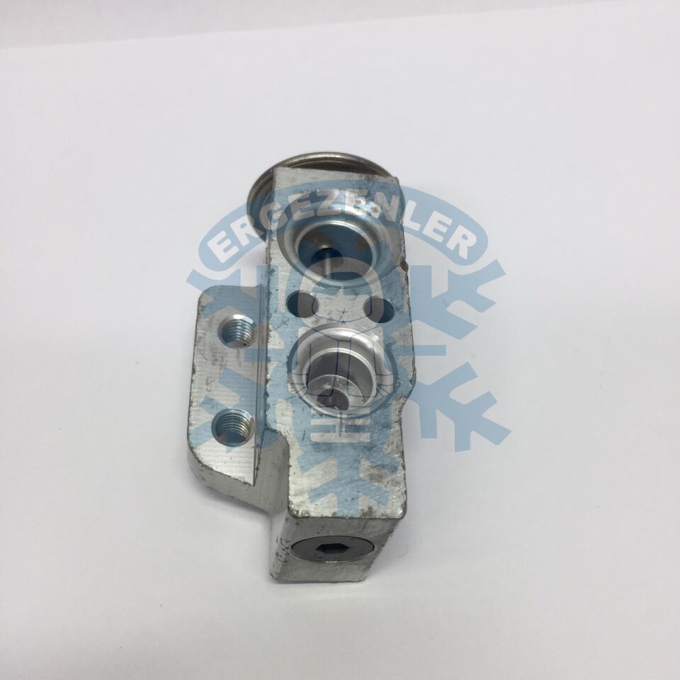 VOLKSWAGEN GOLF 5 / AUDI / JETTA EXPASION VALF