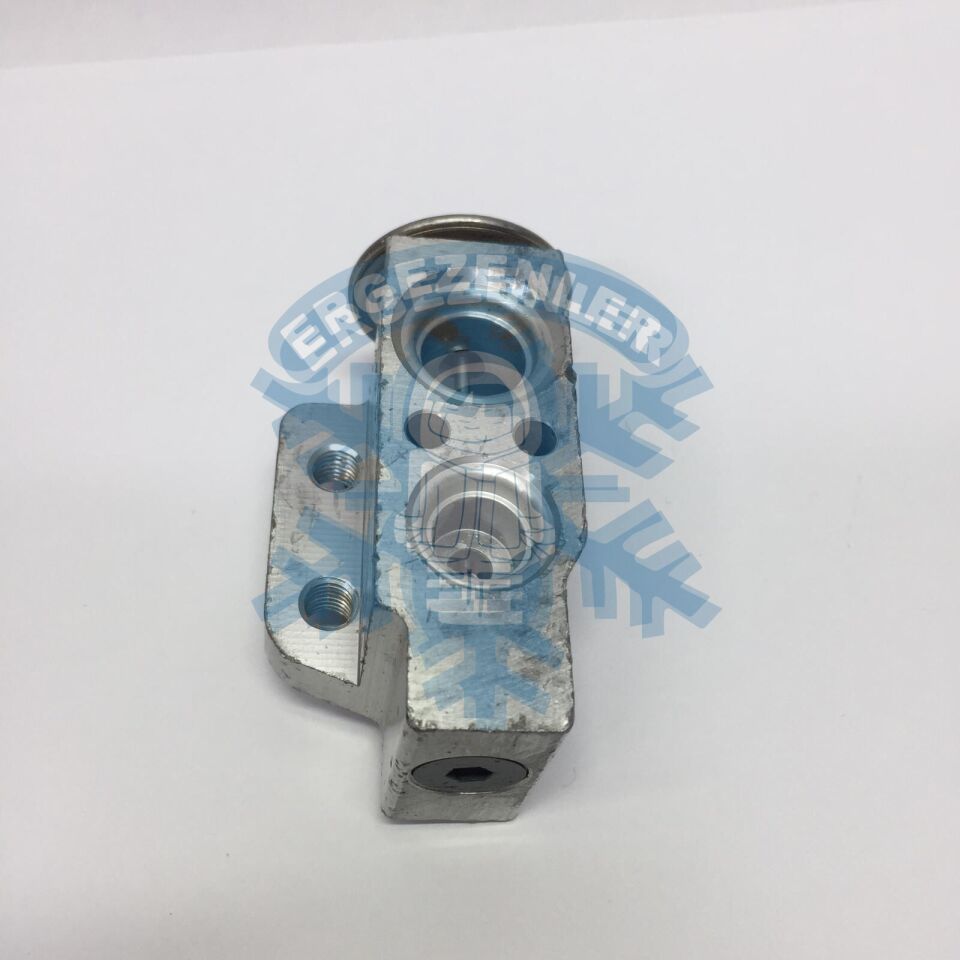 VOLKSWAGEN GOLF 5 / AUDI / JETTA EXPASION VALF