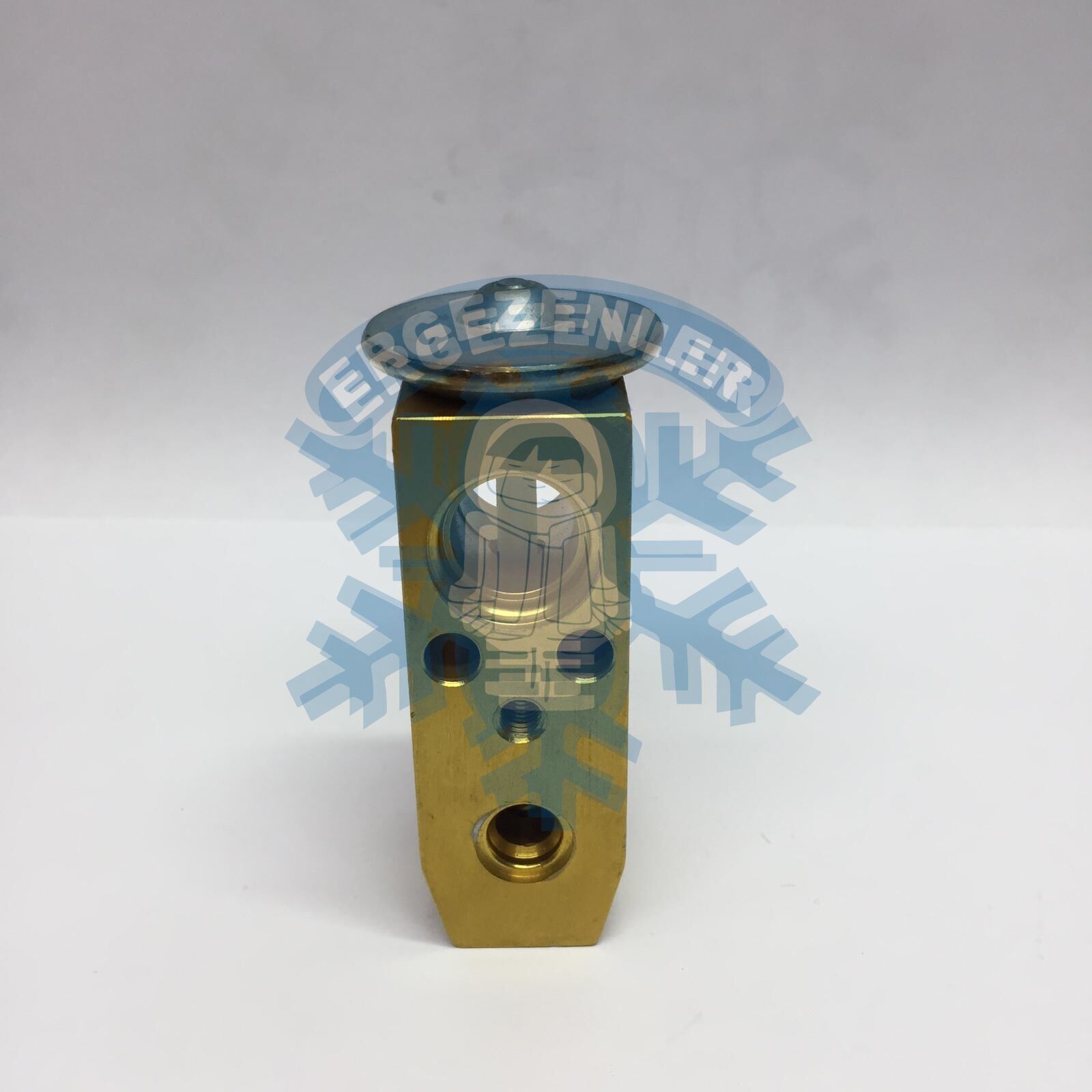 NİSSAN İNFİNİTİ QX4 EXPASION VALF