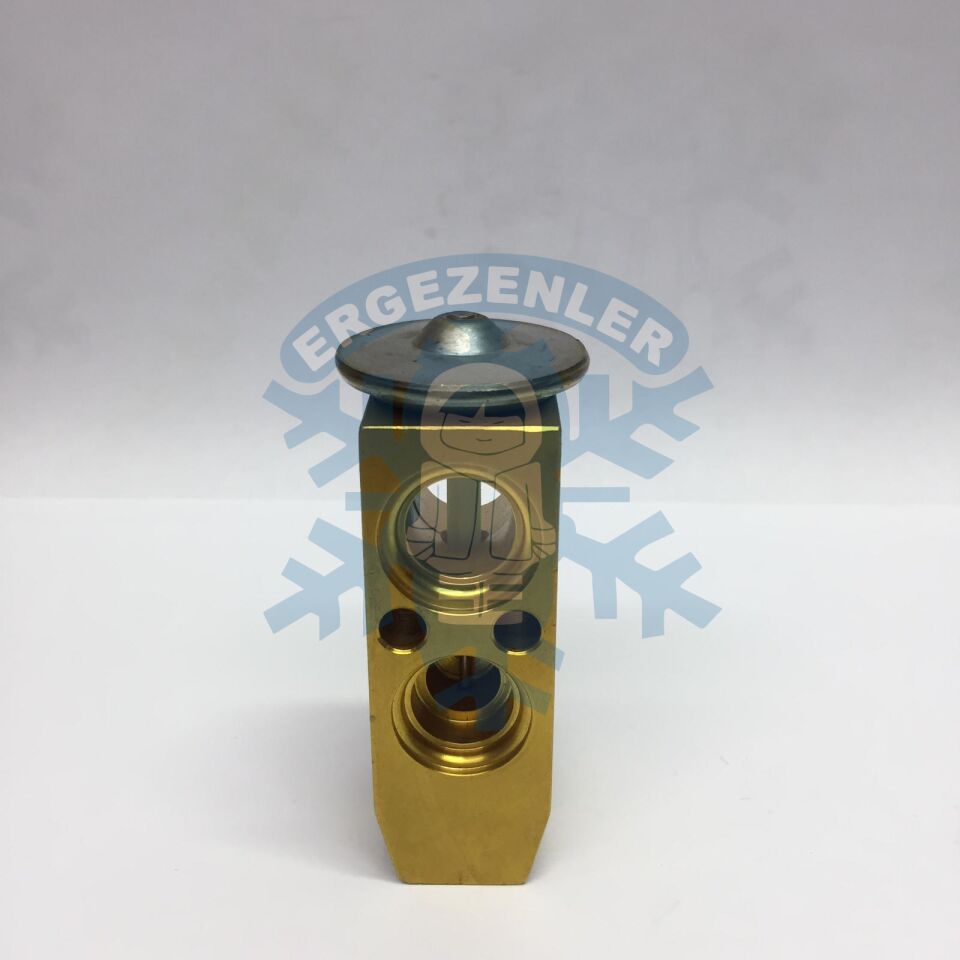 NİSSAN İNFİNİTİ QX4 EXPASION VALF