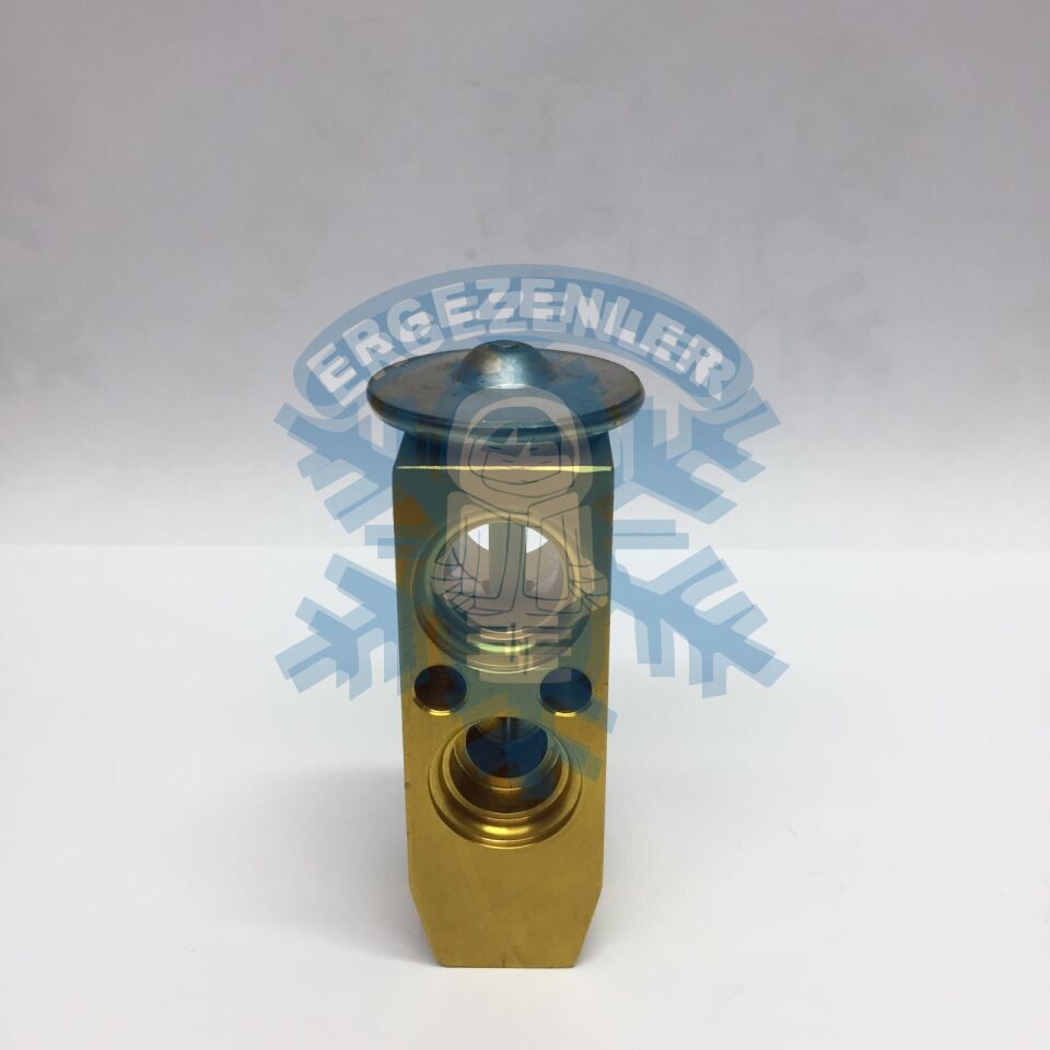 NİSSAN İNFİNİTİ QX4 EXPASION VALF