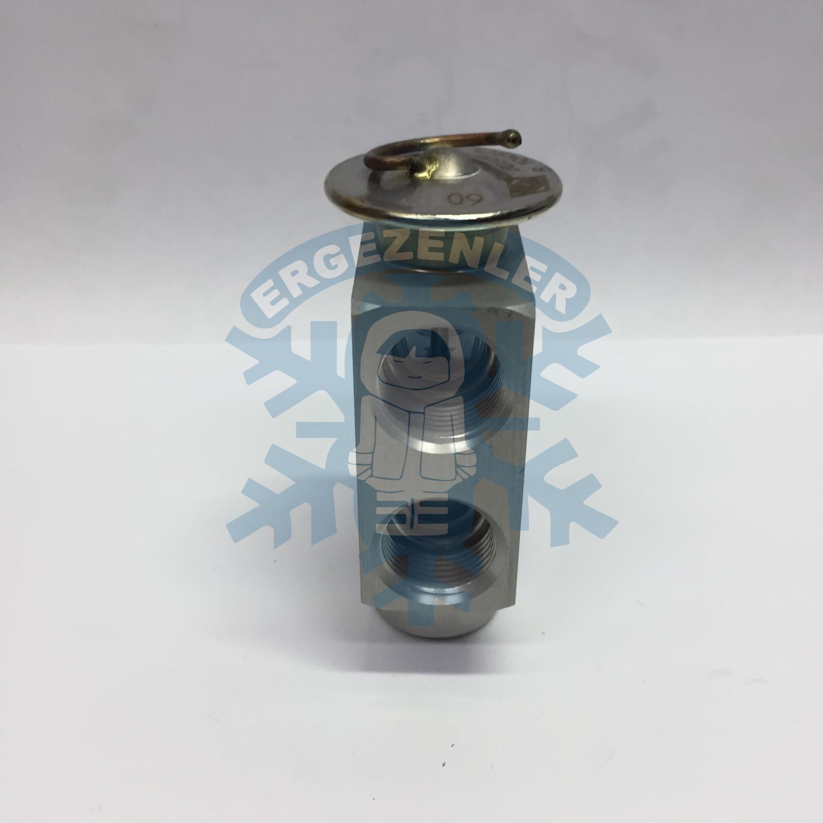 MERCEDES / BMW / AUDİ / CİTROEN / RENAULT EXPASİON VALF