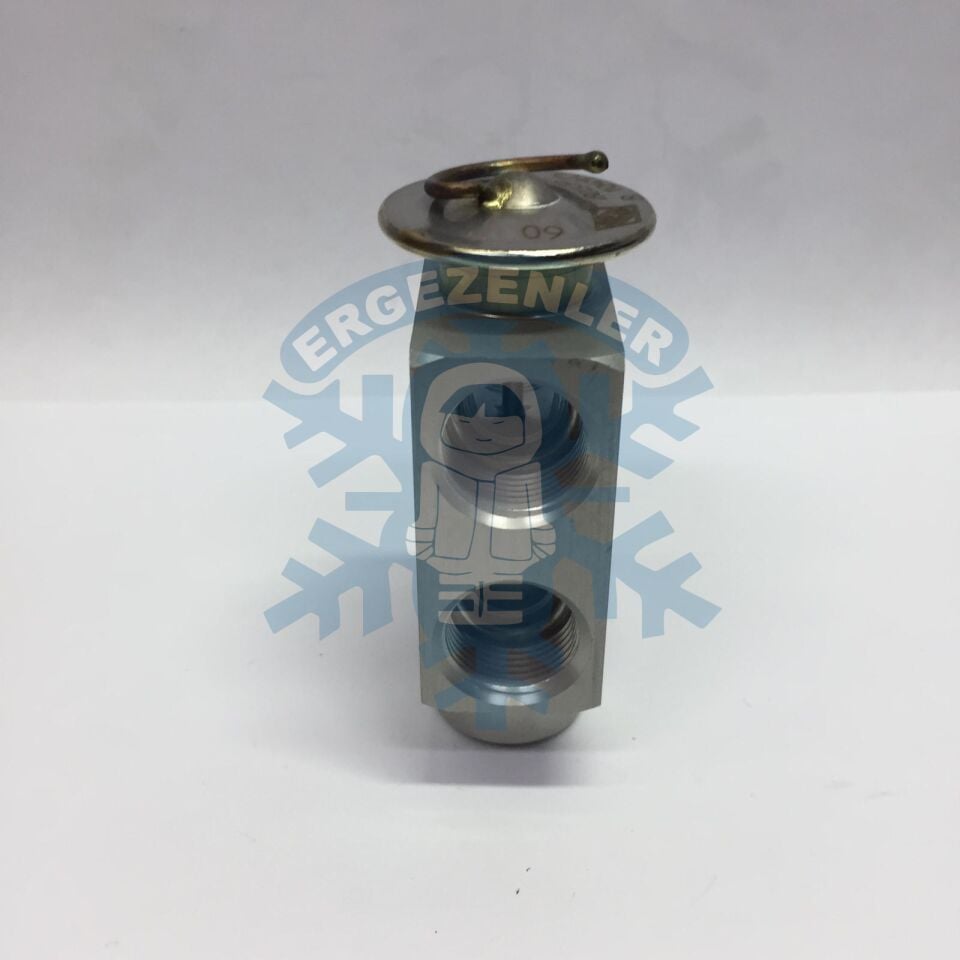 MERCEDES / BMW / AUDİ / CİTROEN / RENAULT EXPASİON VALF