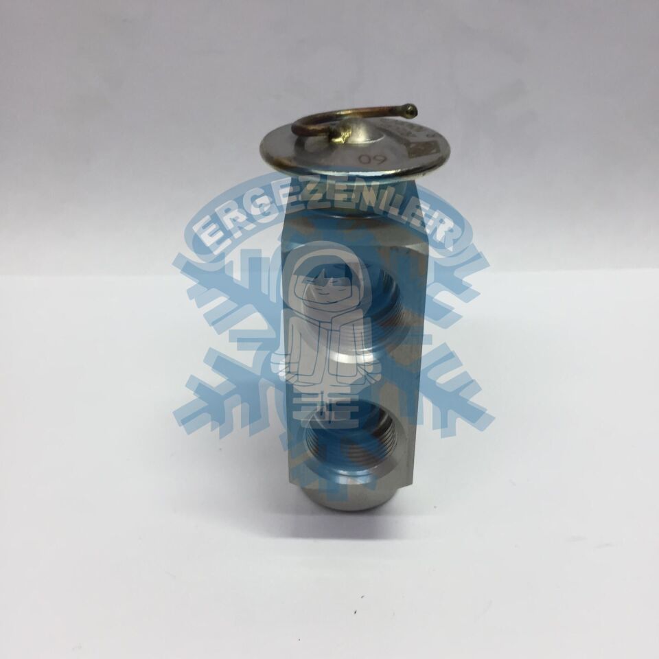 MERCEDES / BMW / AUDİ / CİTROEN / RENAULT EXPASİON VALF