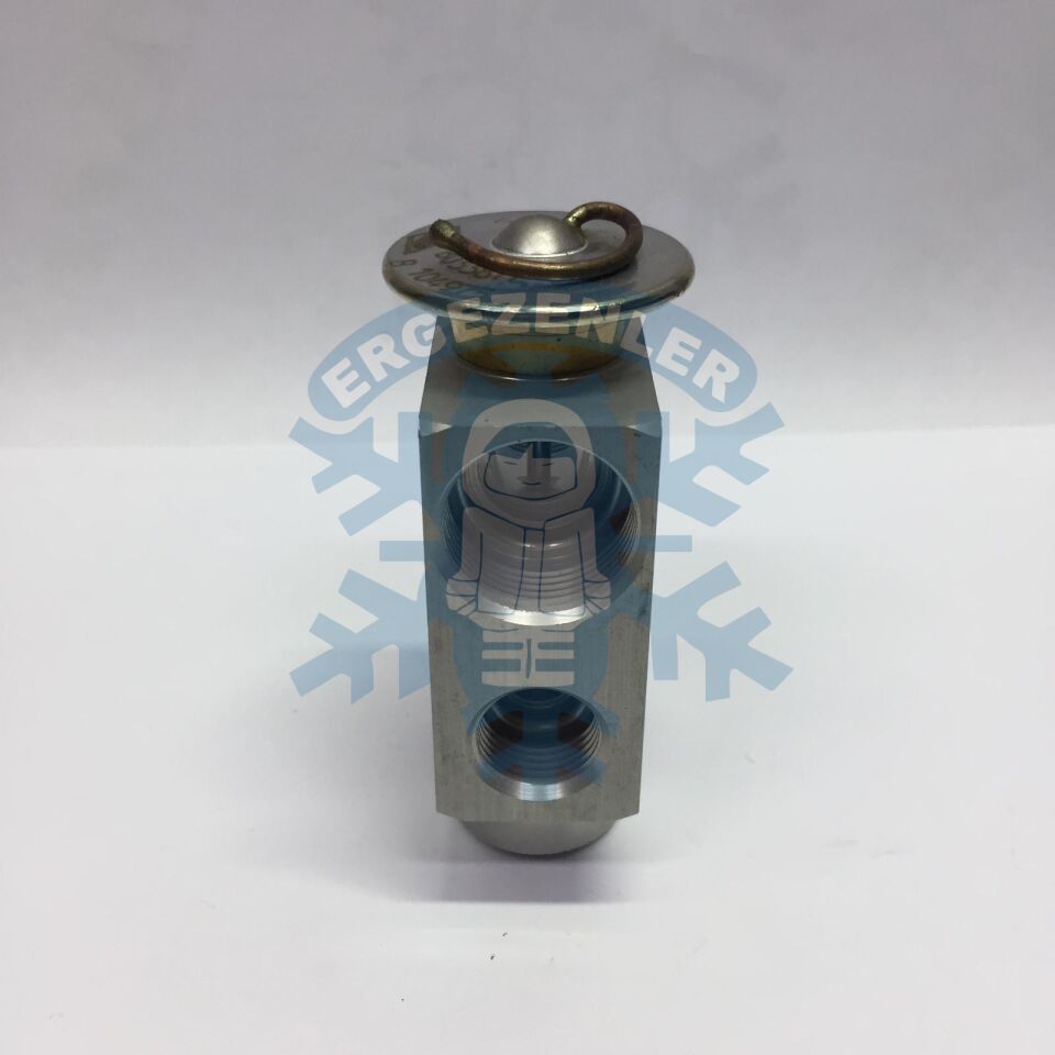 MERCEDES / BMW / AUDİ / CİTROEN / RENAULT EXPASİON VALF