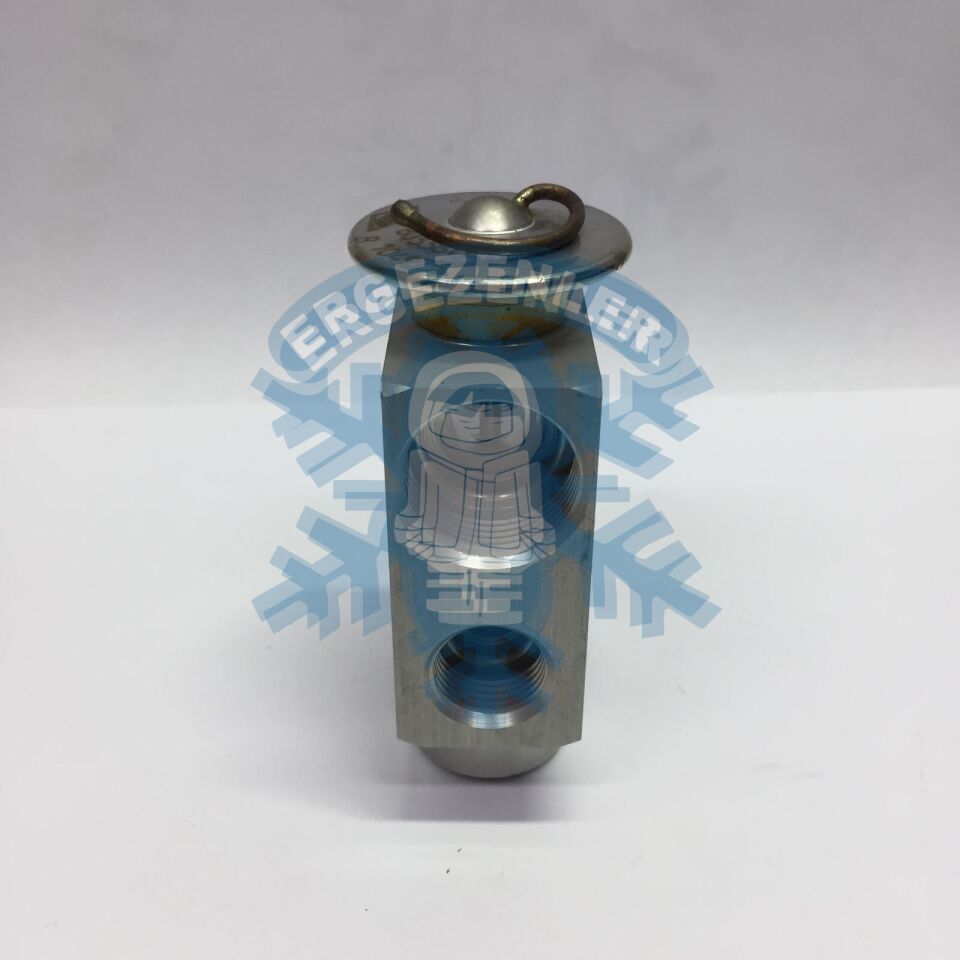 MERCEDES / BMW / AUDİ / CİTROEN / RENAULT EXPASİON VALF