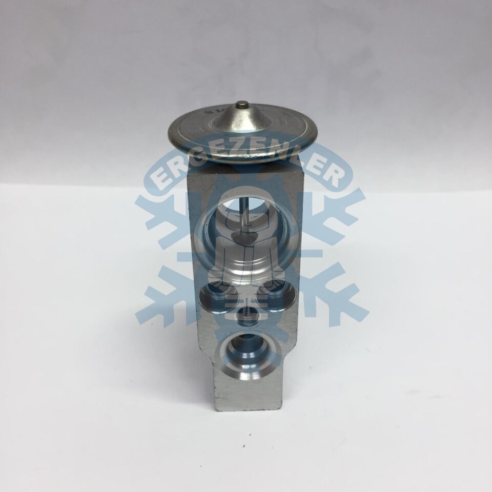 RENAULT CLİO / 1-2-3 EXPASION VALF