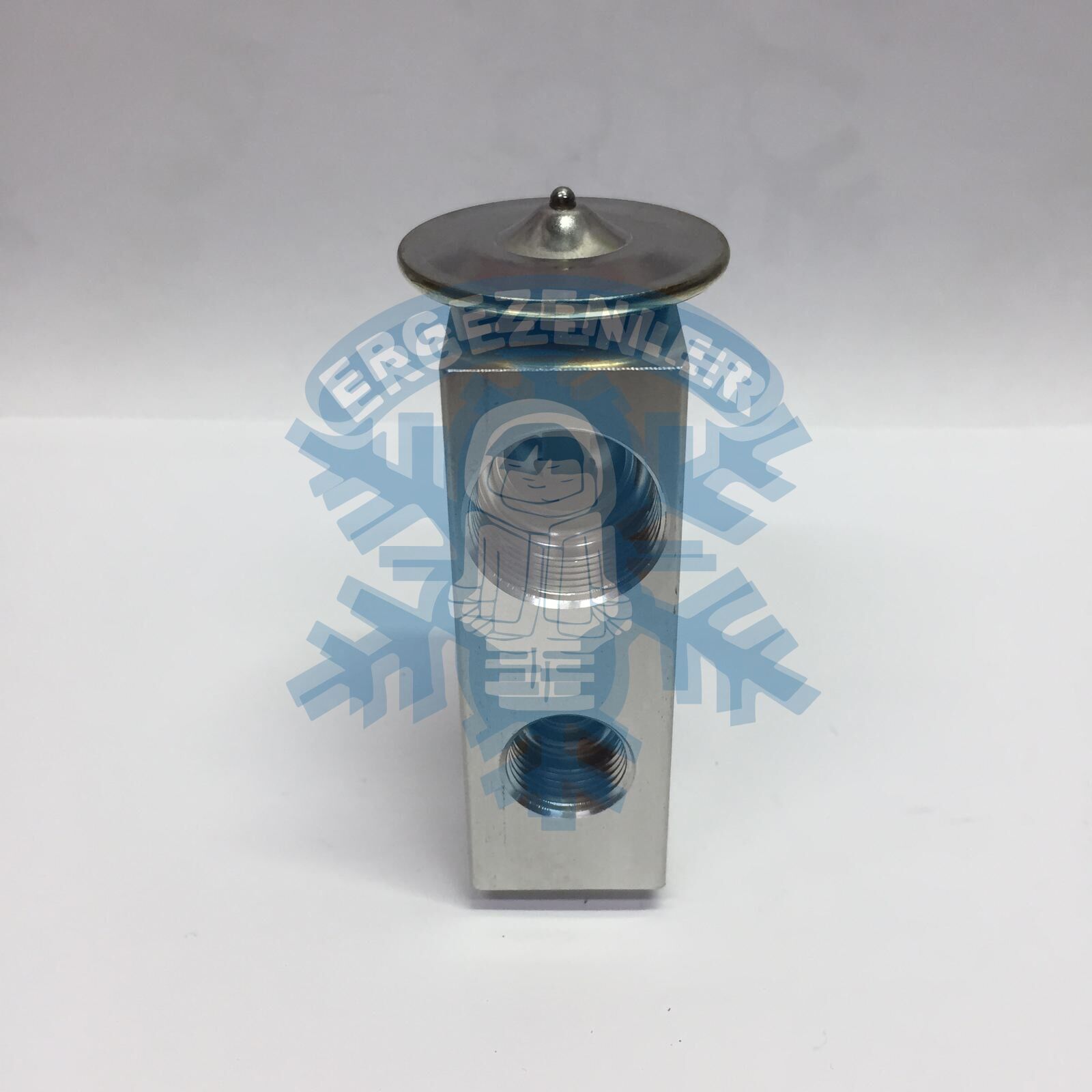 İŞ MAKİNESİ VİDALI EXPASION VALF