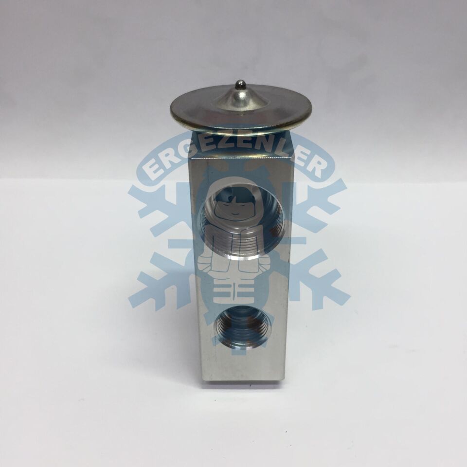 İŞ MAKİNESİ VİDALI EXPASION VALF