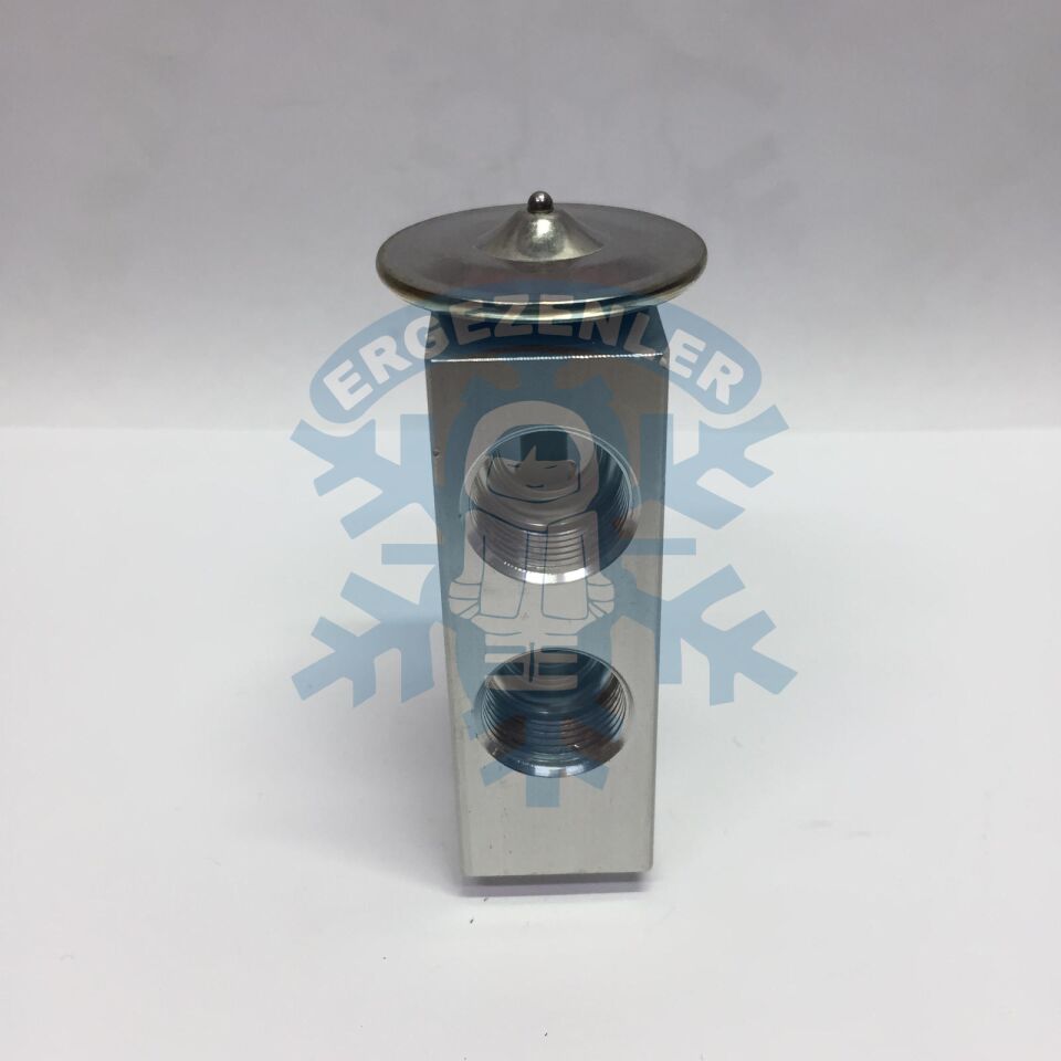 İŞ MAKİNESİ VİDALI EXPASION VALF