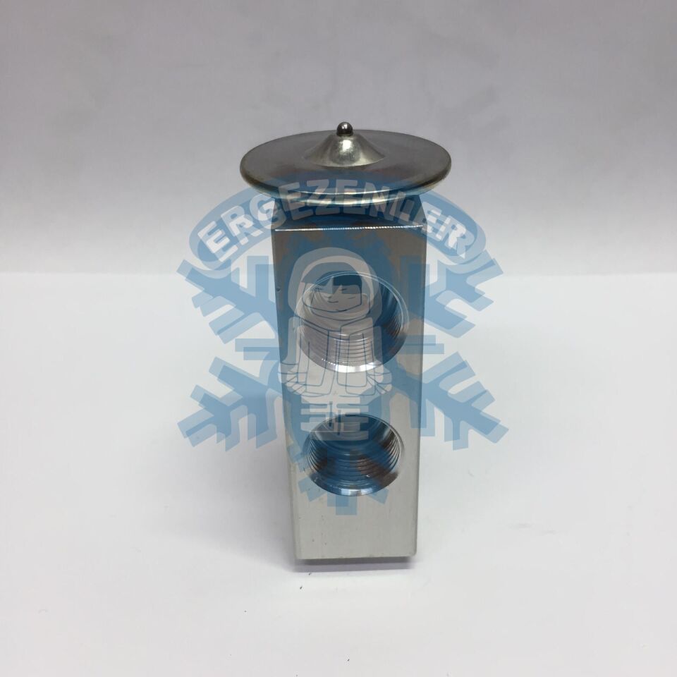 İŞ MAKİNESİ VİDALI EXPASION VALF