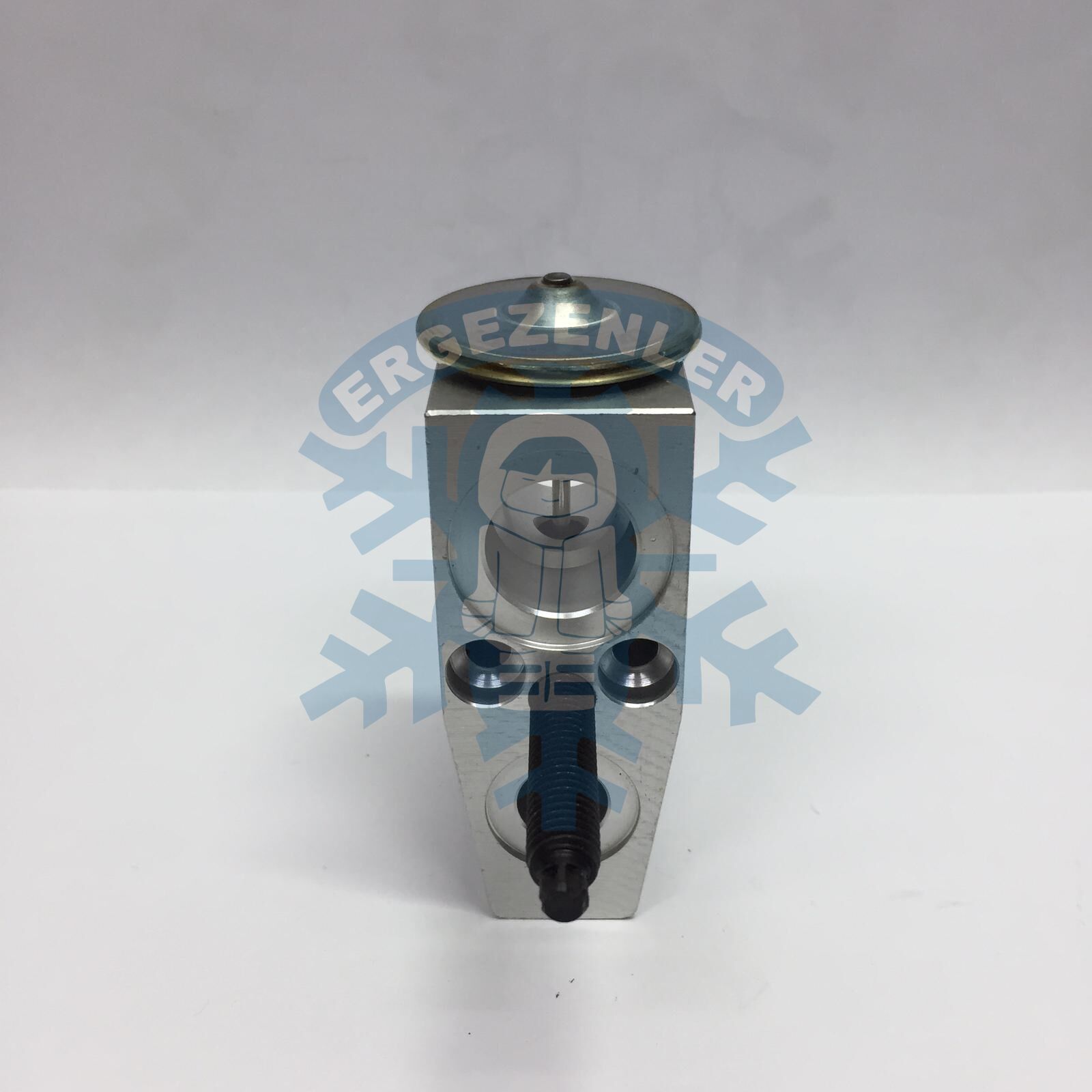 FORD OPEL YENİ MODEL EXPASION VALF