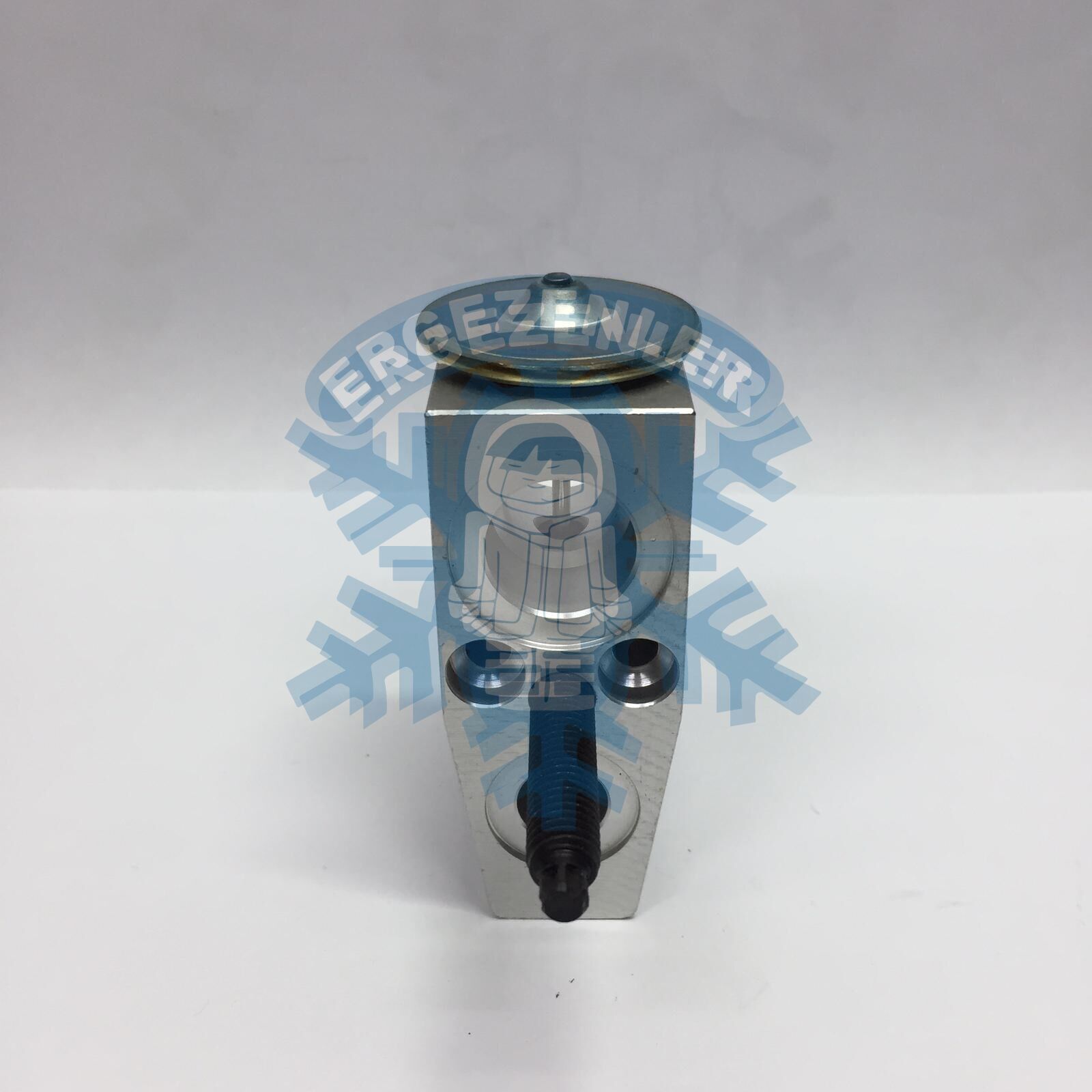 FORD OPEL YENİ MODEL EXPASION VALF