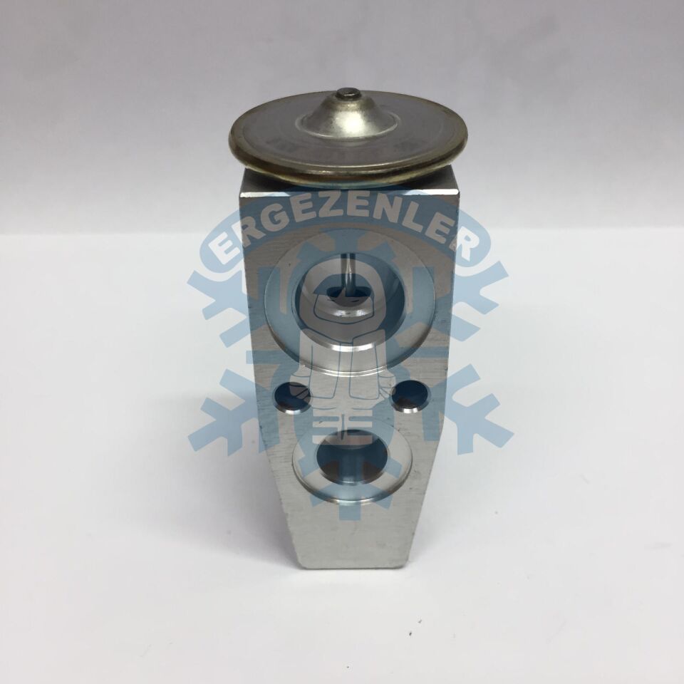 FORD OPEL YENİ MODEL EXPASION VALF