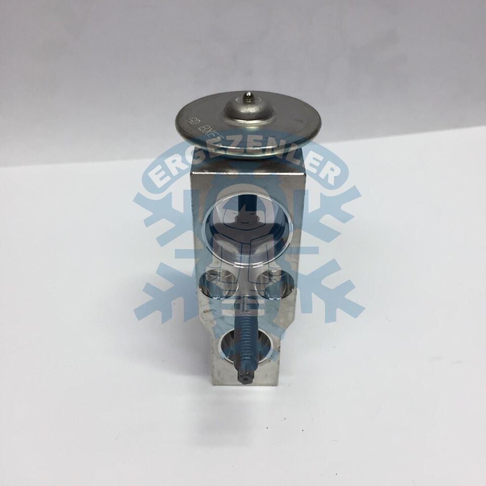 AUDİ 2022 EXPASION VALF