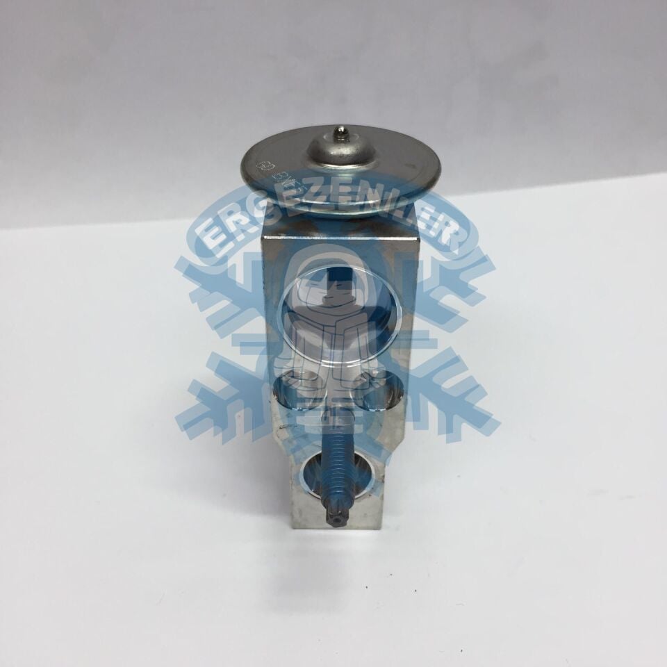 AUDİ 2022 EXPASION VALF