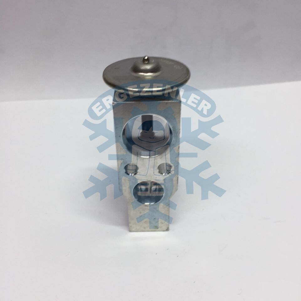 AUDİ 2022 EXPASION VALF