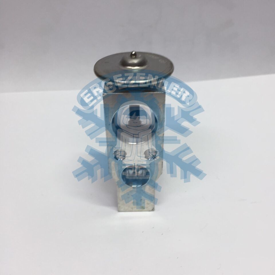 AUDİ 2022 EXPASION VALF