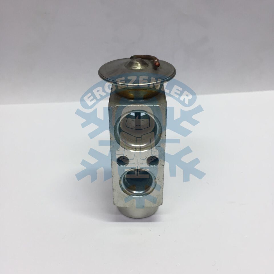 MERCEDES W124 / W210 / OPEL EXPASION VALF