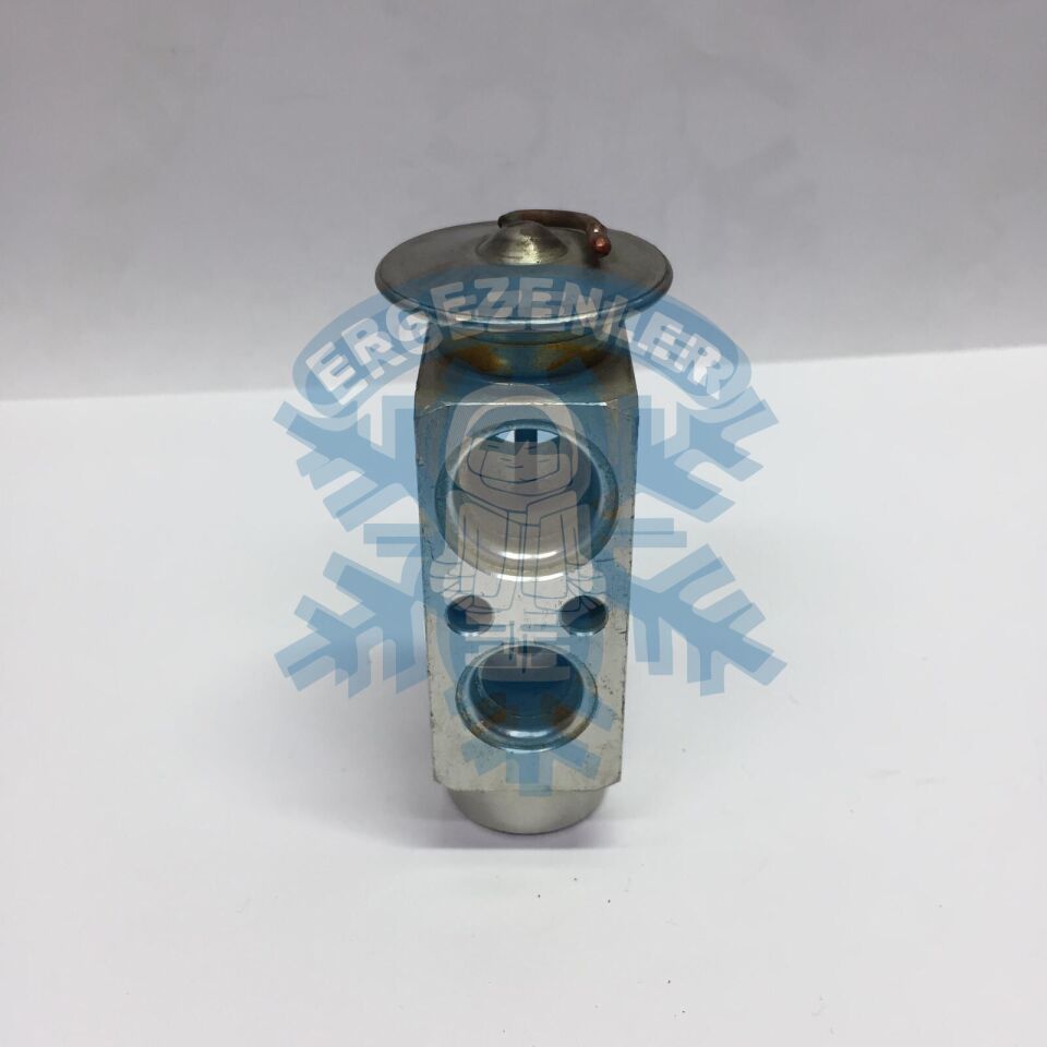 MERCEDES W124 / W210 / OPEL EXPASION VALF