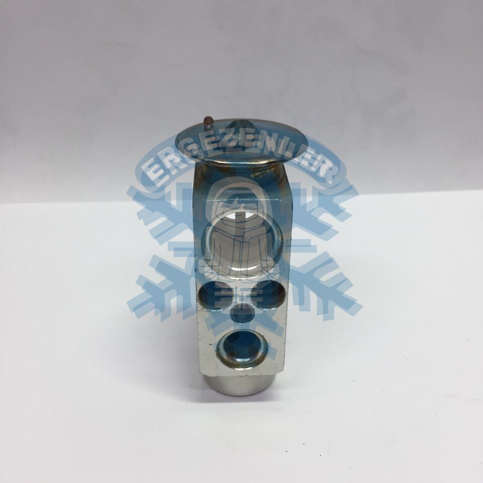 MERCEDES W124 / W210 / OPEL EXPASION VALF