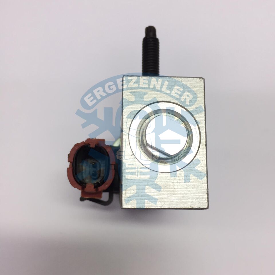 AMERİCAN VOYAGER ELEKTRİKLİ EXPASION VALF