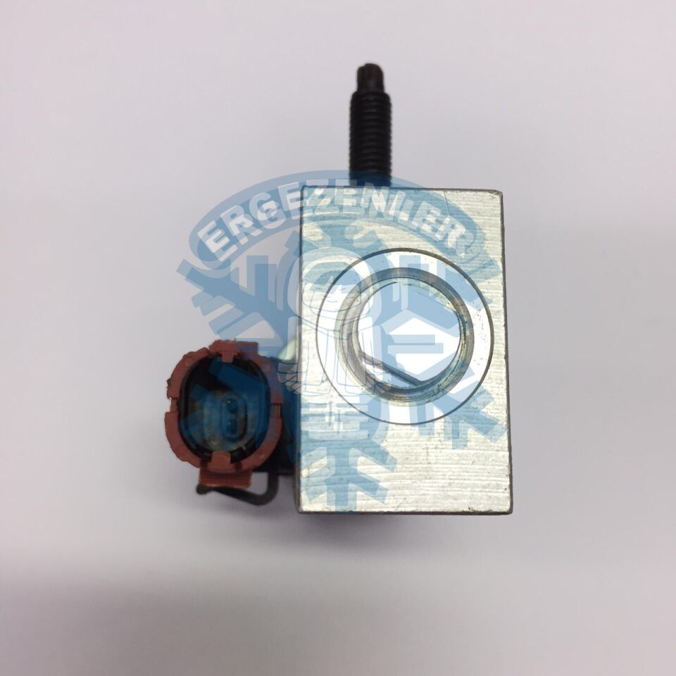 AMERİCAN VOYAGER ELEKTRİKLİ EXPASION VALF