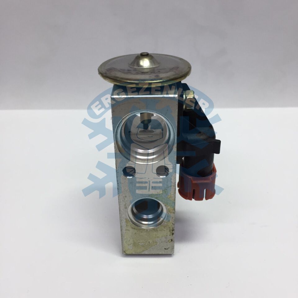 AMERİCAN VOYAGER ELEKTRİKLİ EXPASION VALF