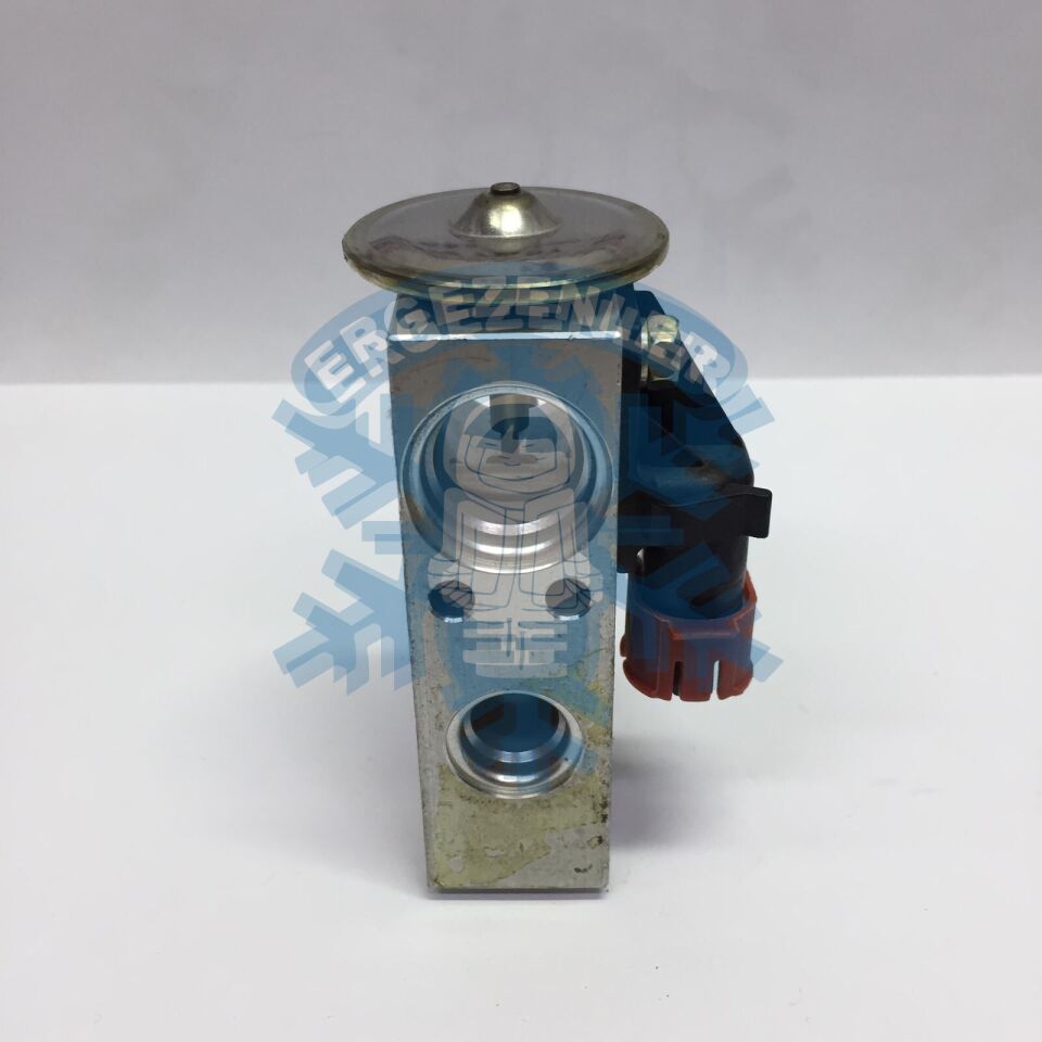 AMERİCAN VOYAGER ELEKTRİKLİ EXPASION VALF