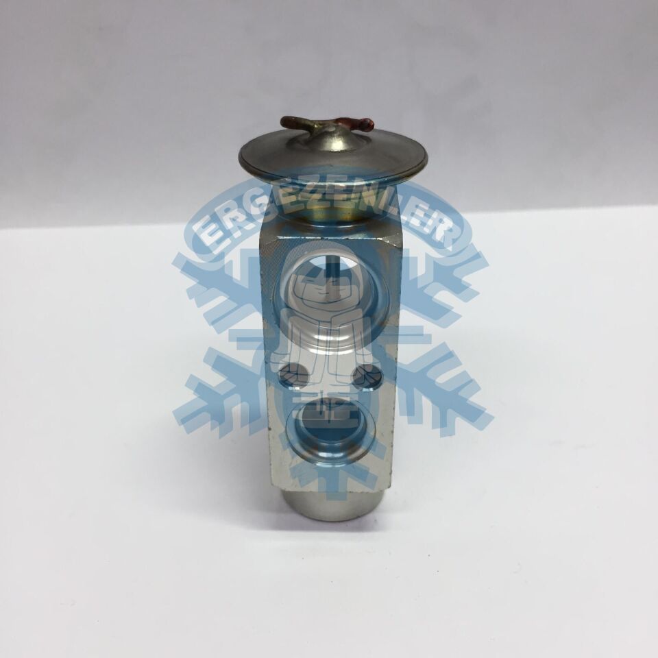 MERCEDES ESKİ MODEL 2 EXPASION VALF