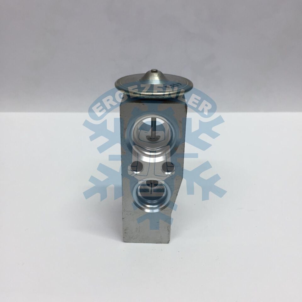 RENAULT CLİO 4 / FLUENCE EXPASION VALF