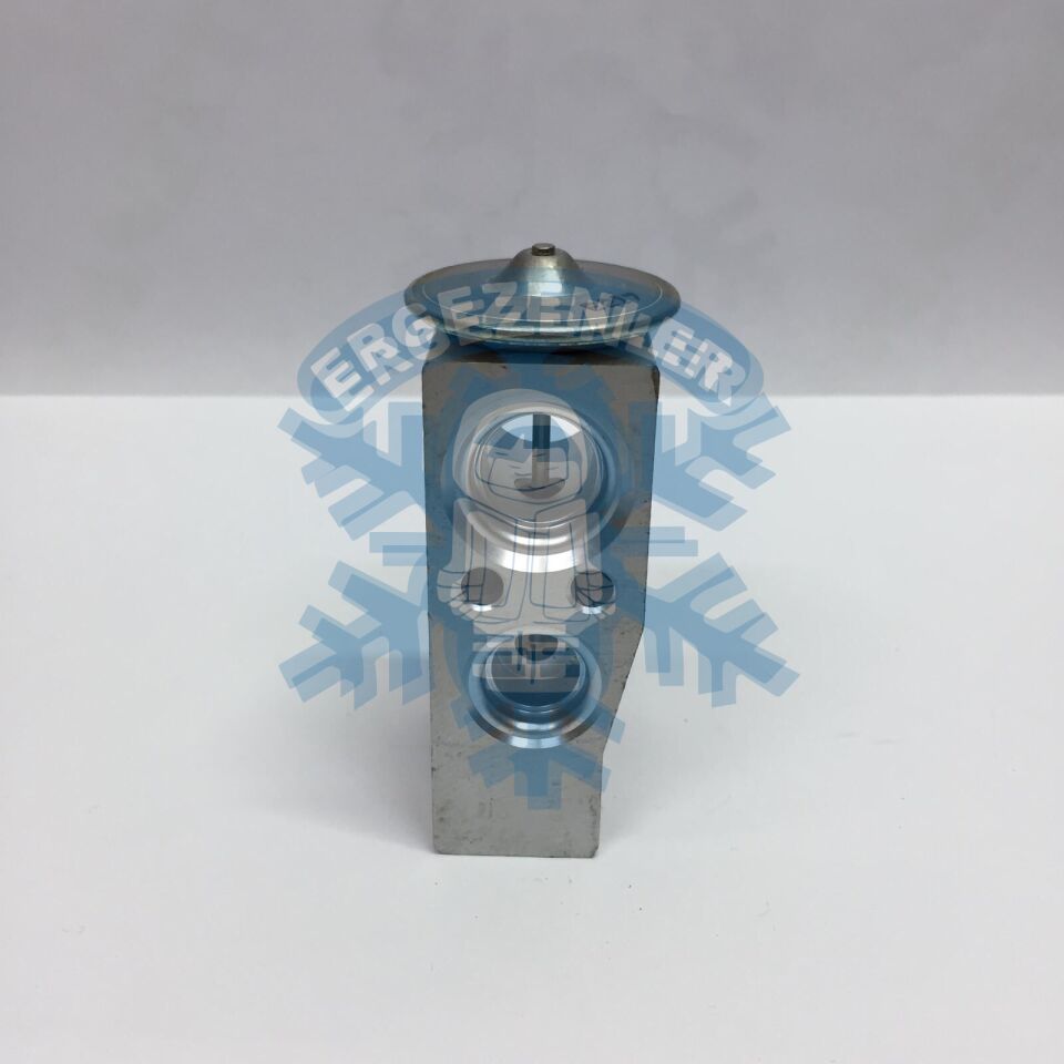 RENAULT CLİO 4 / FLUENCE EXPASION VALF