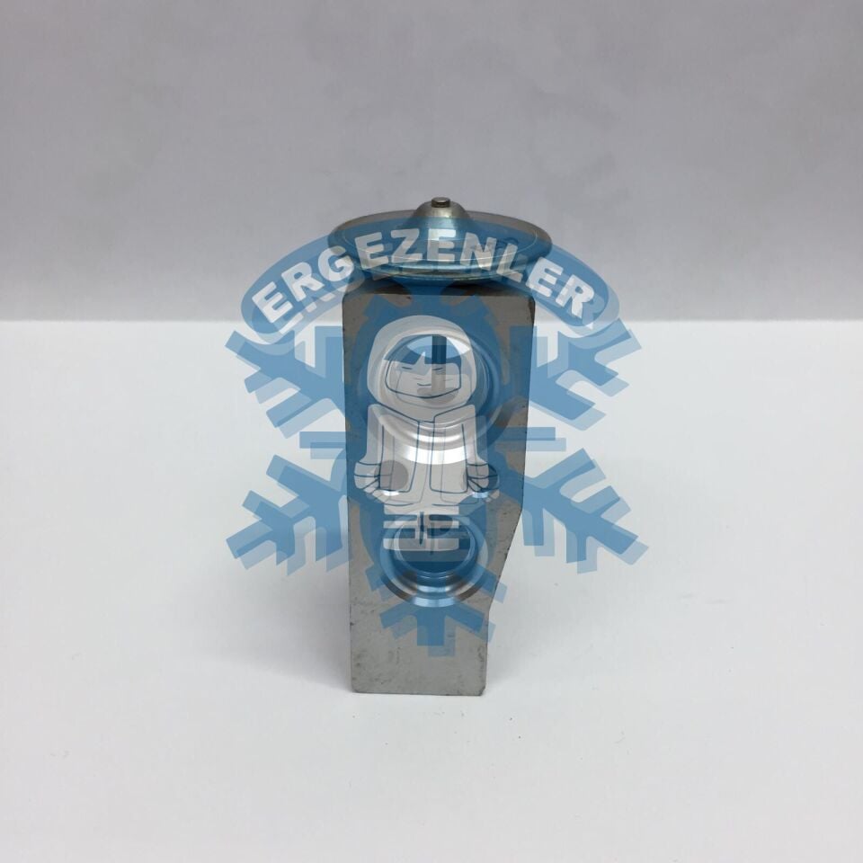 RENAULT CLİO 4 / FLUENCE EXPASION VALF