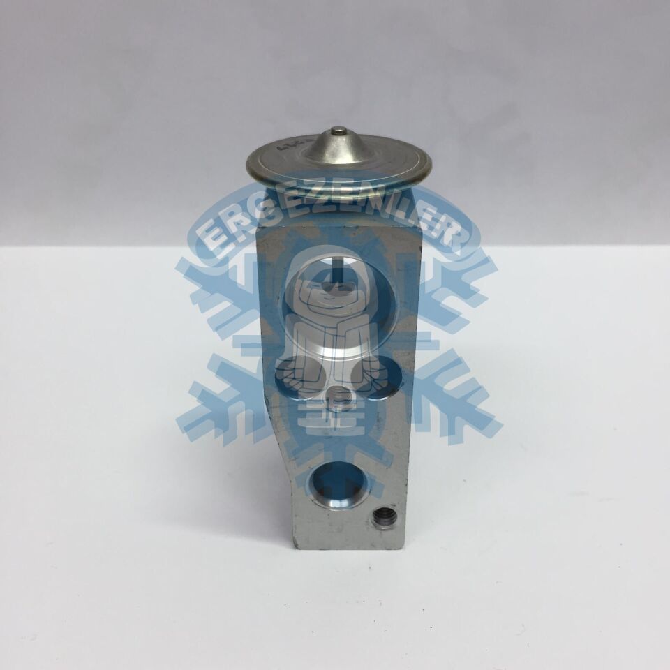 RENAULT CLİO 4 / FLUENCE EXPASION VALF