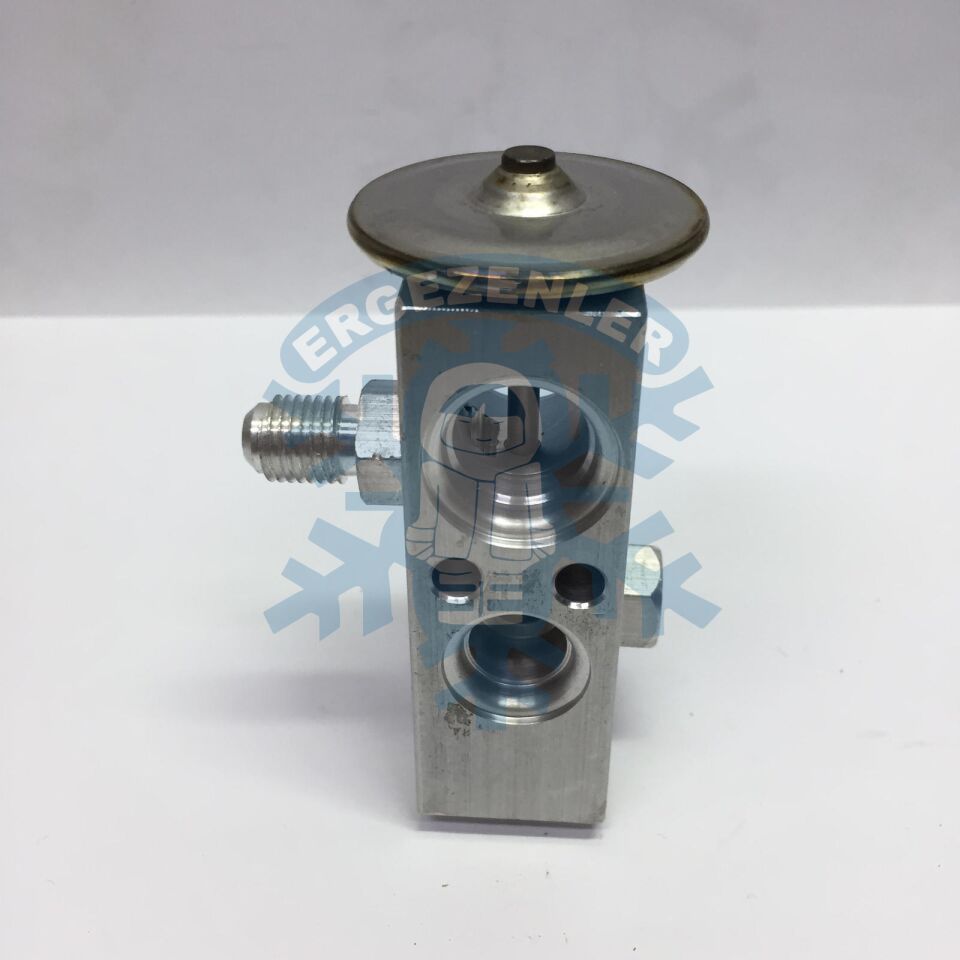 HYUNDAİ / AMERİKAN EXPASION VALF