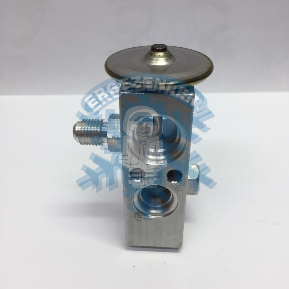 HYUNDAİ / AMERİKAN EXPASION VALF