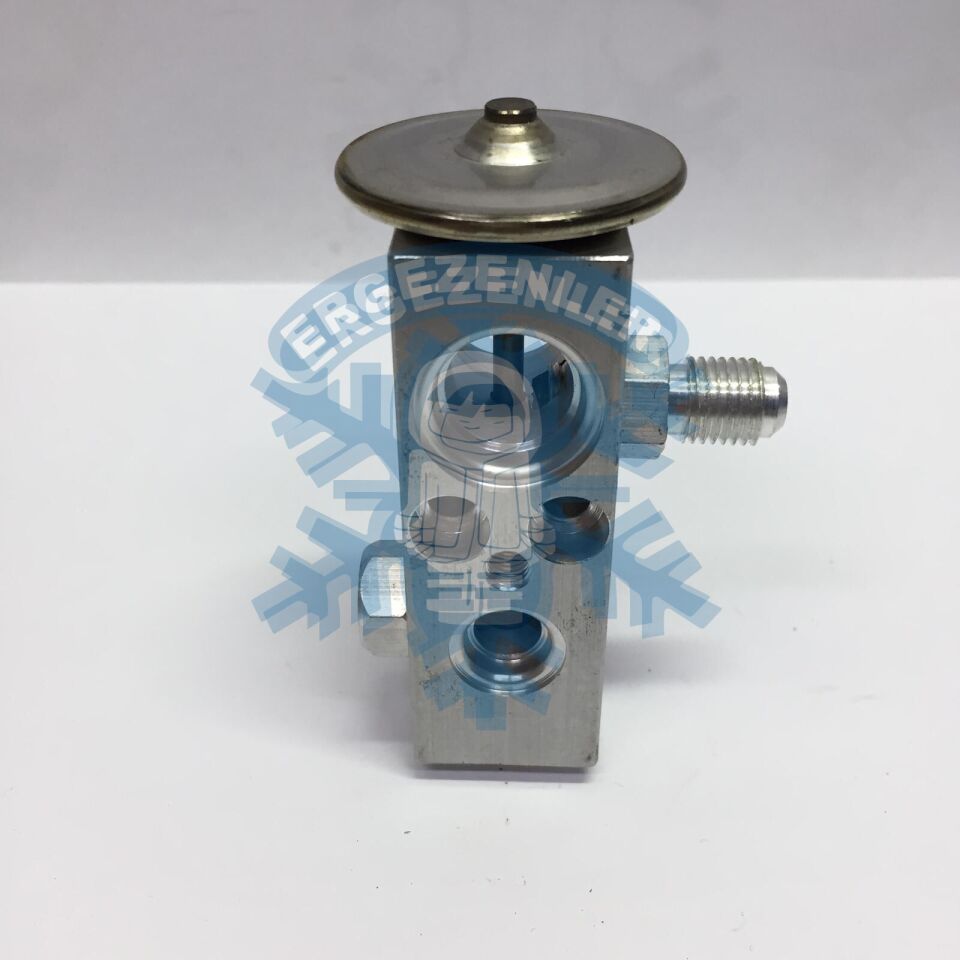 HYUNDAİ / AMERİKAN EXPASION VALF